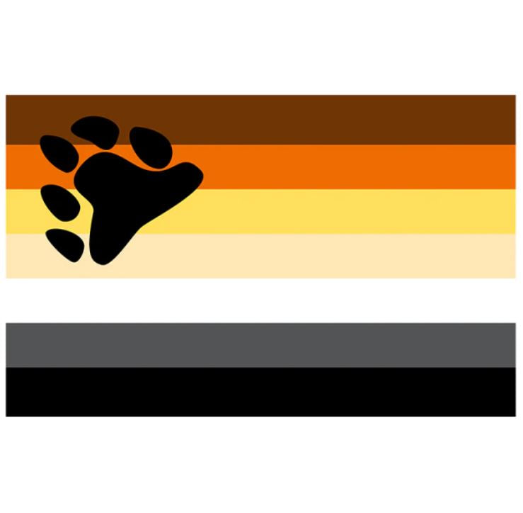 Gay bear deals flag