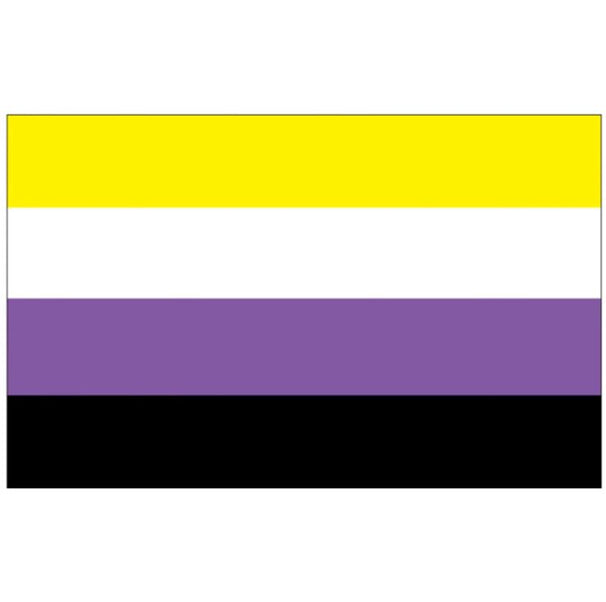 Pride Flags - Flags To Hang or Carry in LGBTQA+ Pride Events| Queer ...